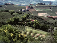 LANGHE